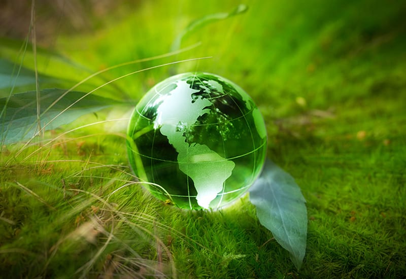 Recycle Your Devices - Earth in grass and leaves