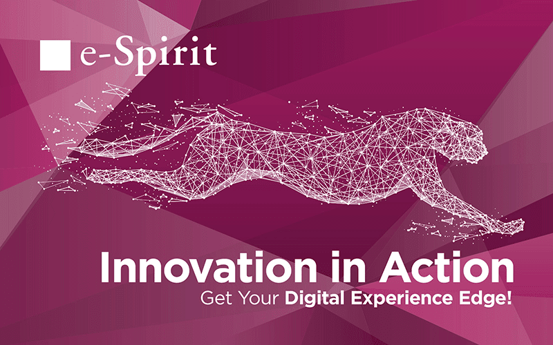 e-Spirit Services Partner: Innovation in Action